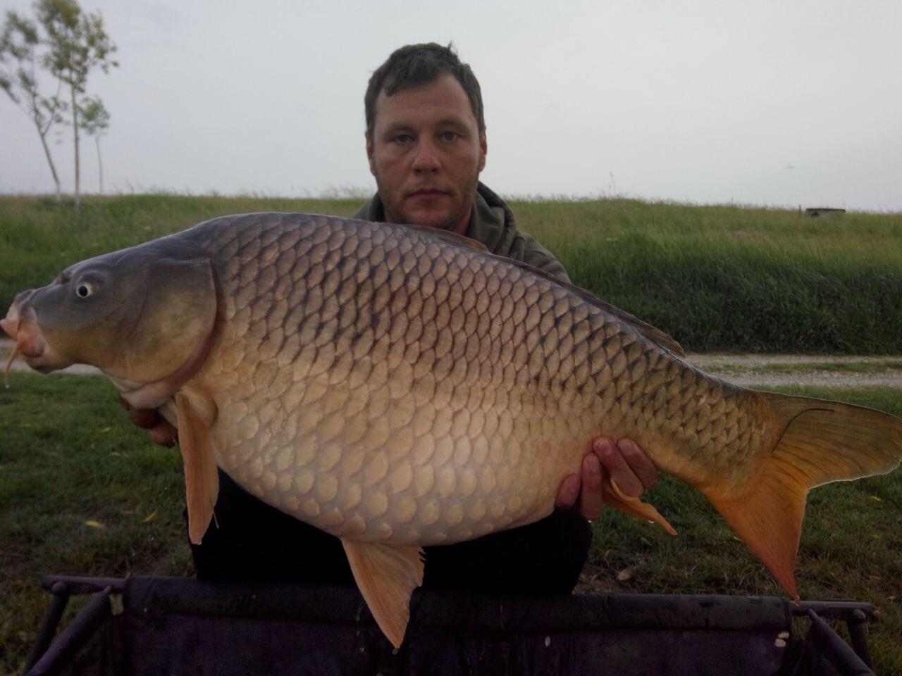 2015 - image11111111111.jpg